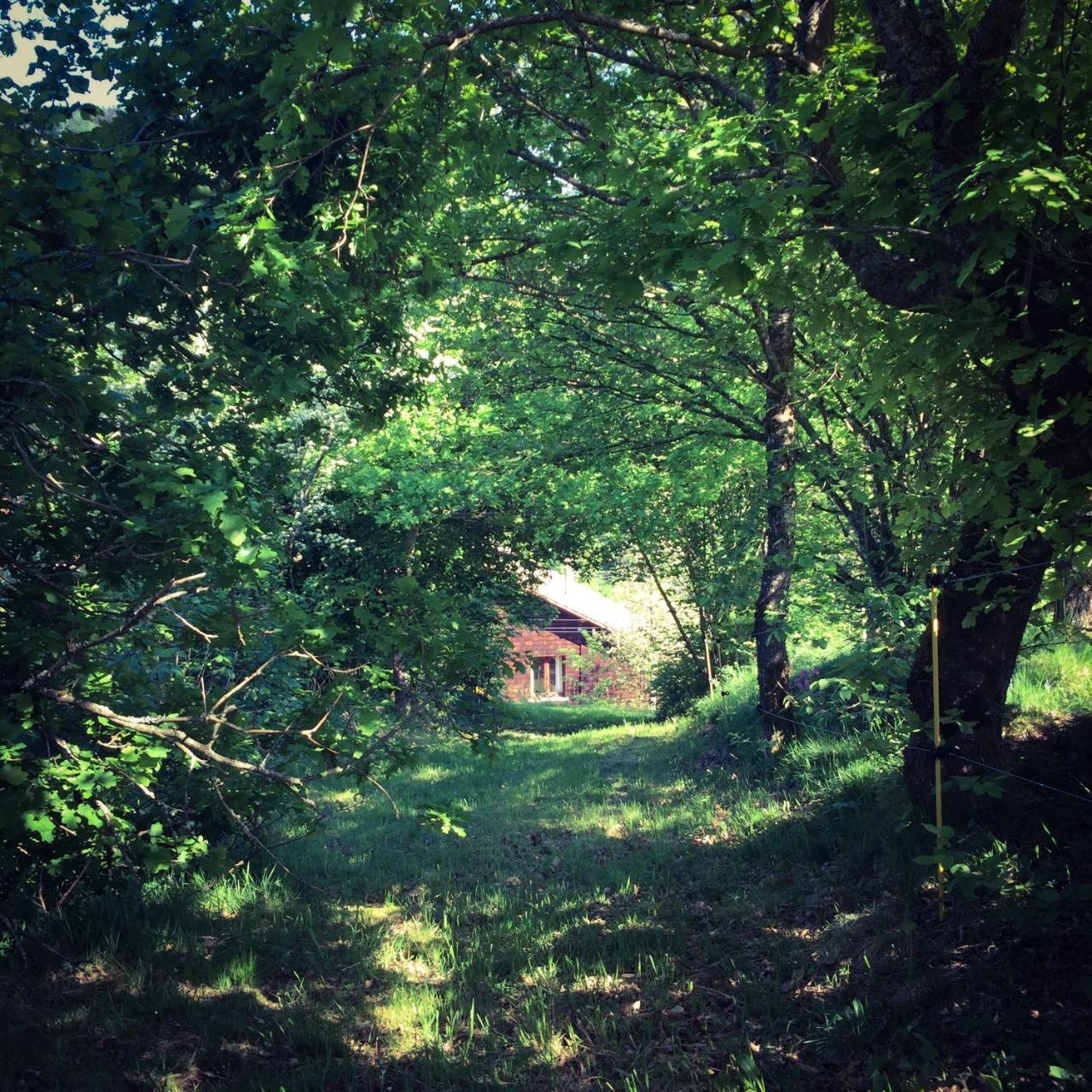 Silver Trees - Glamping Fresse-sur-Moselle Exterior foto