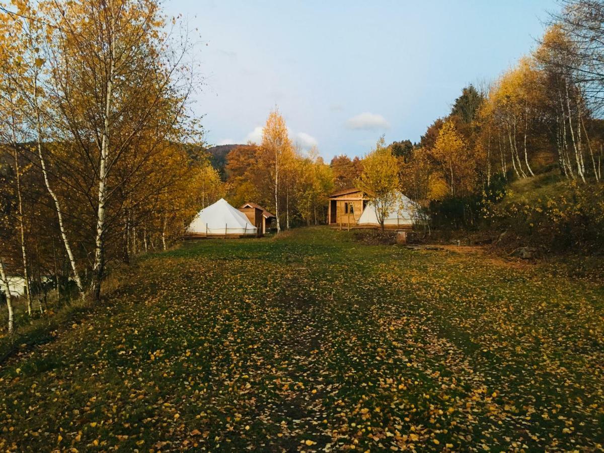 Silver Trees - Glamping Fresse-sur-Moselle Exterior foto